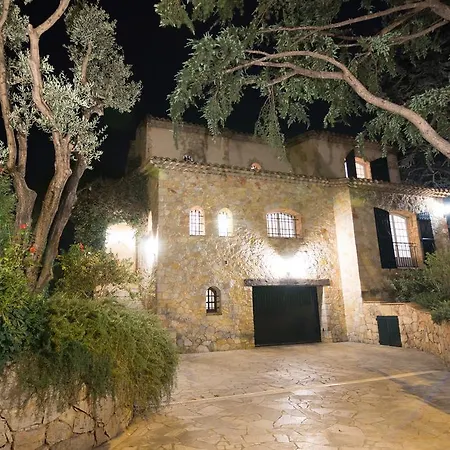 Vuyani אנטיב