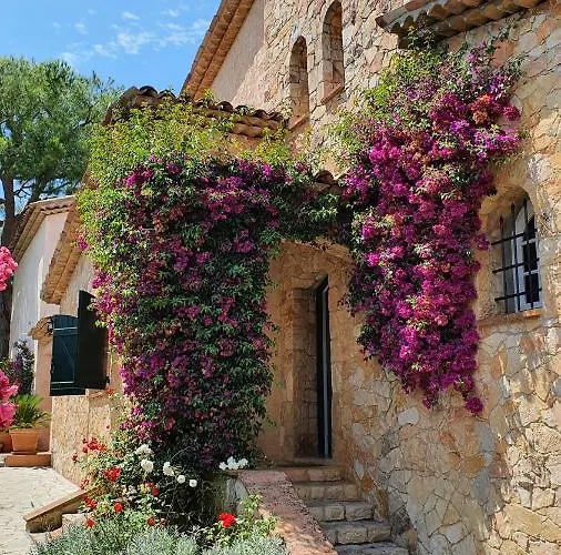 Βίλα Vuyani Αντίμπ