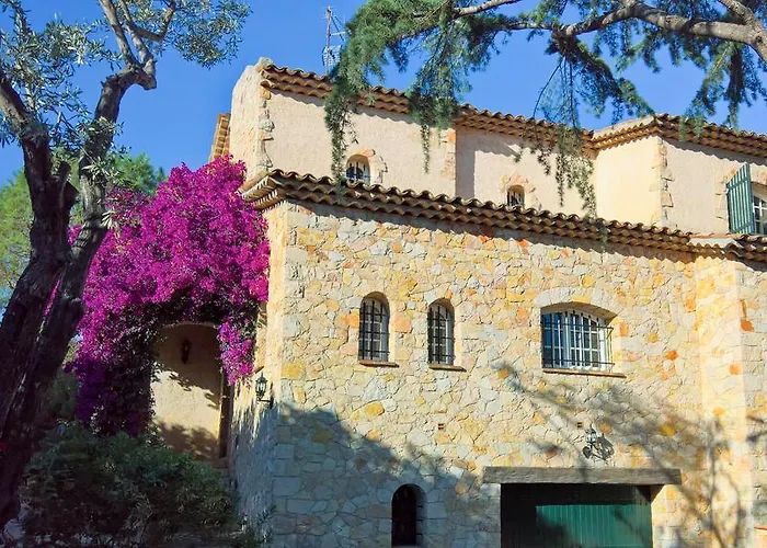 Vuyani * Αντίμπ